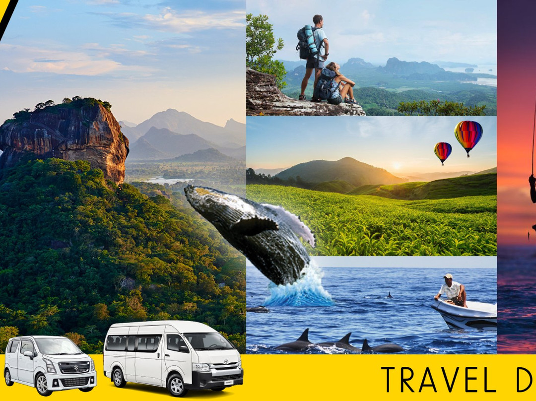 Kangaroo Cabs-科伦坡必去景点