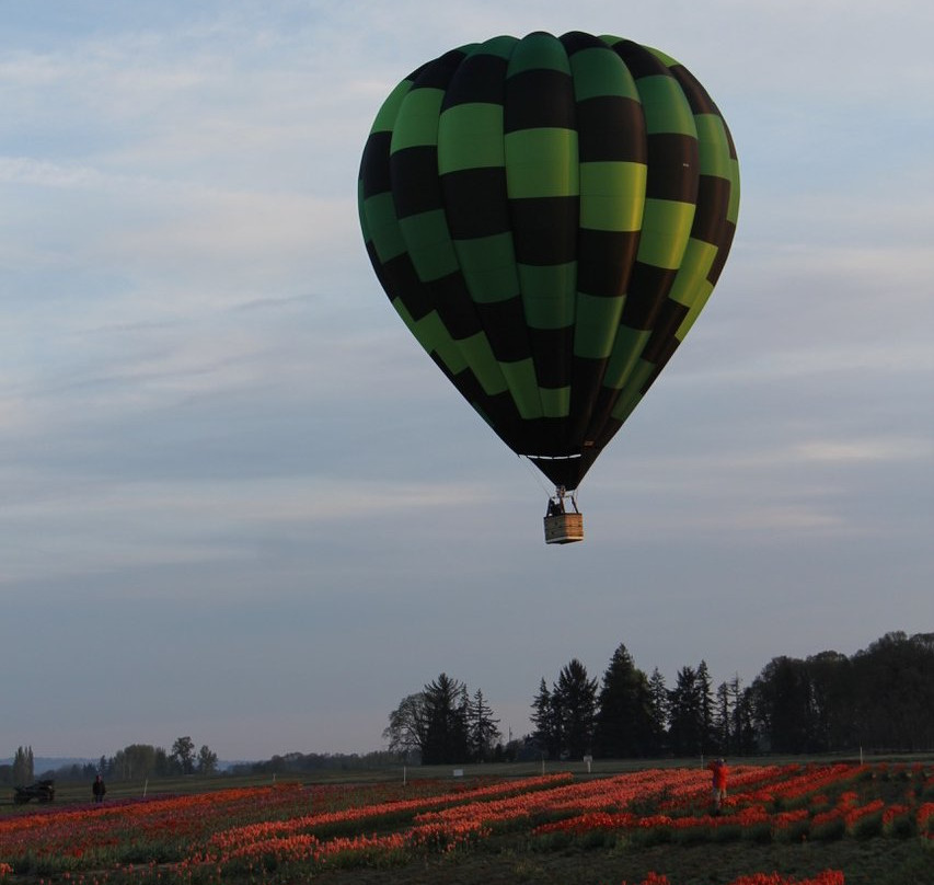 Willamette Valley Balloons-Donald必去景点