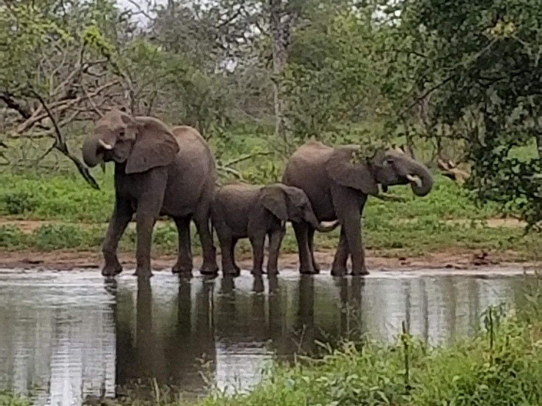 Maseke Mountain Biking-霍德斯普鲁特必去景点