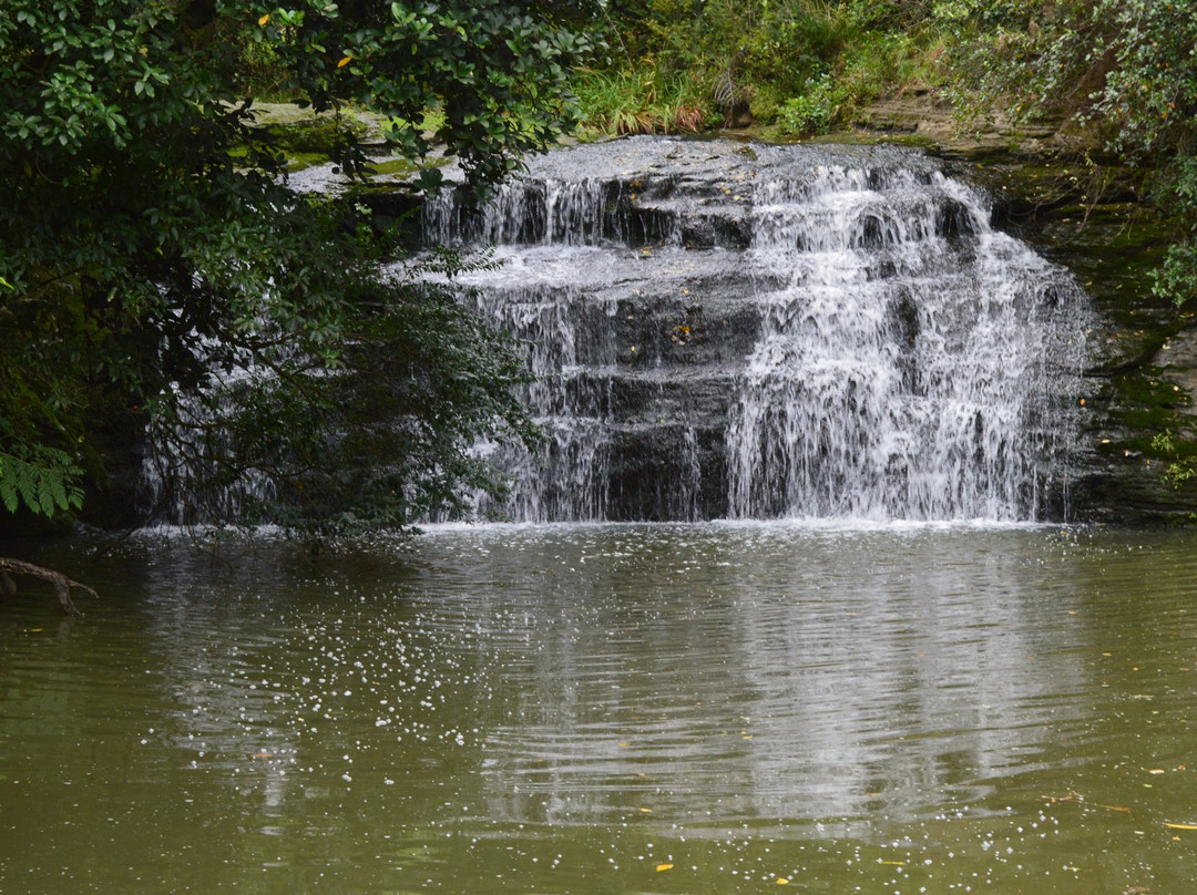 Gills Scenic Reserve-奥尔巴尼必去景点
