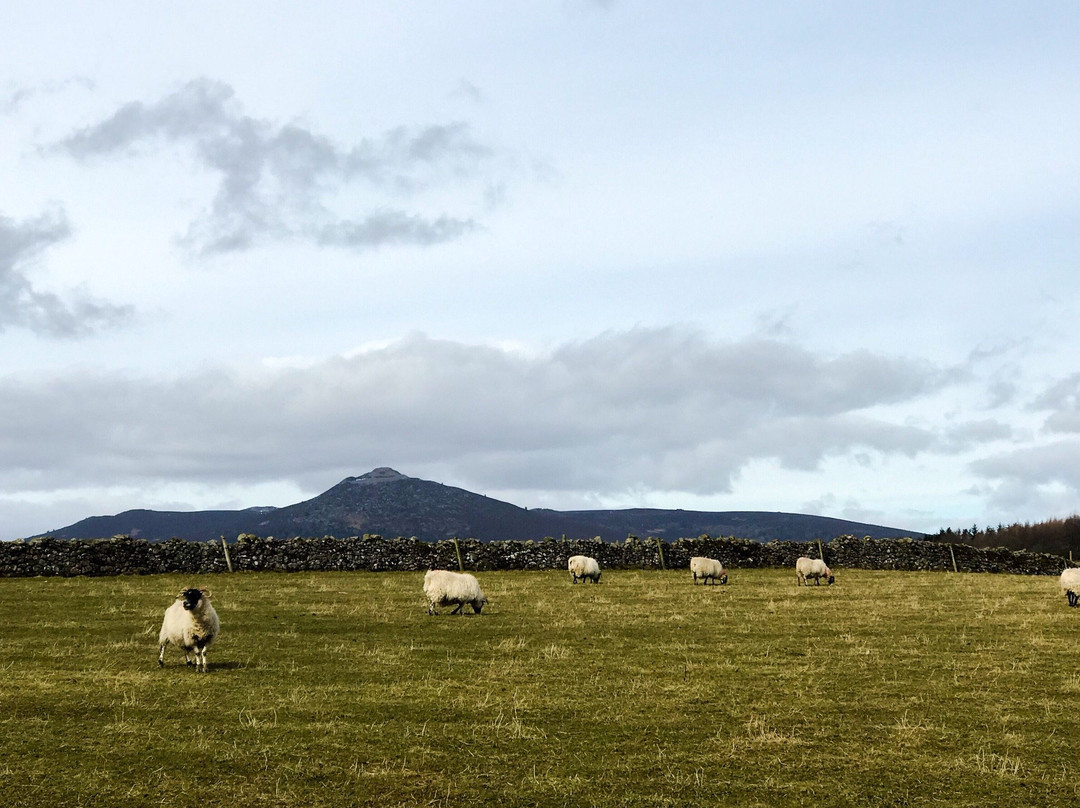 Aberdeenshire Tours景点图片