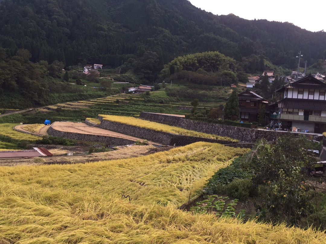 Ini Rice Terraces景点图片