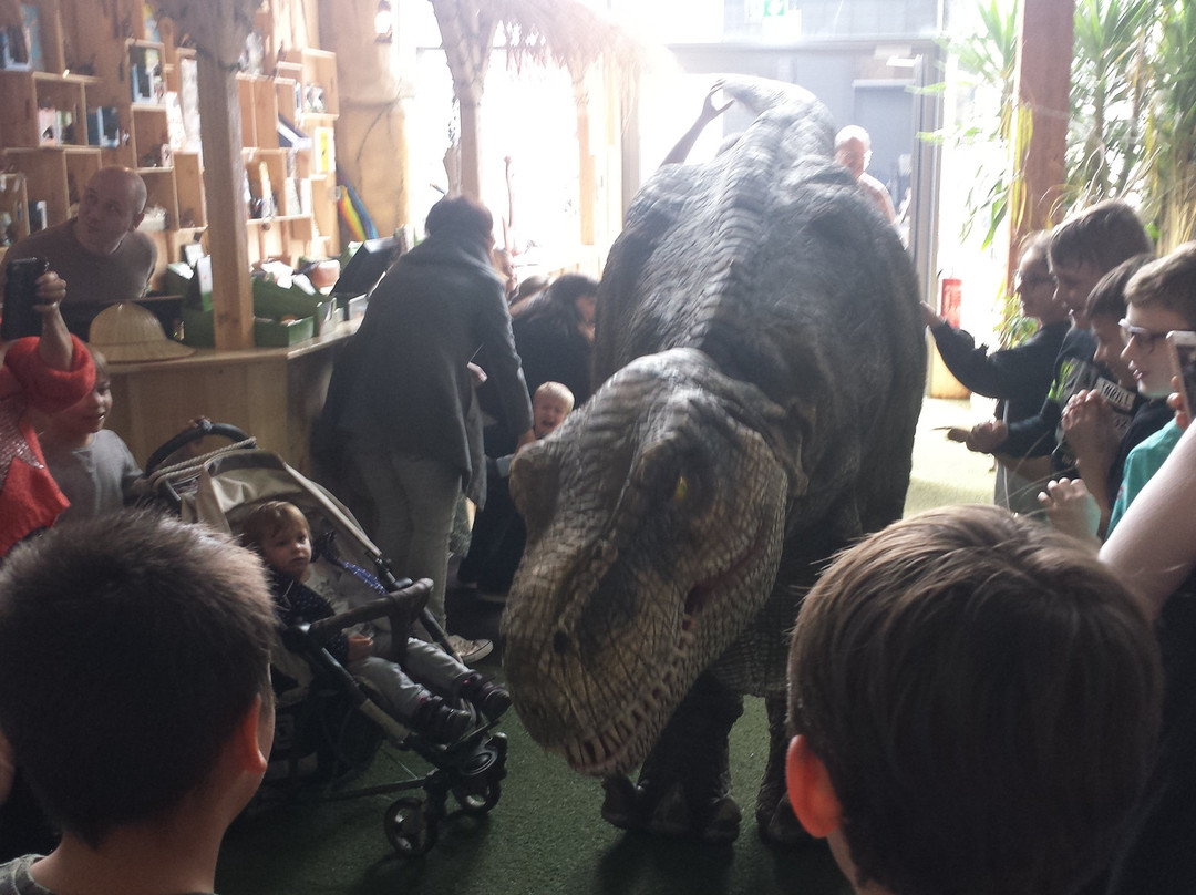 Dino Adventure Park-Weiterstadt必去景点