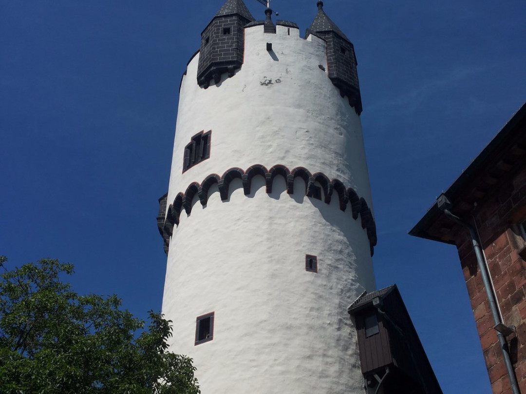 Vor- und Frühgeschichtsmuseum Schloss Steinheim景点图片