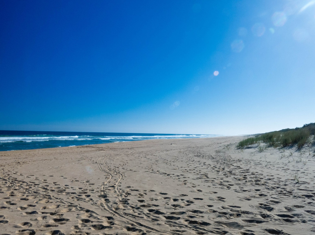 Lakes Entrance Beach景点图片