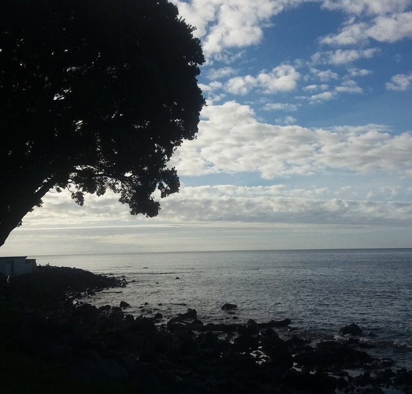 Kawaroa Park-新普利默斯必去景点