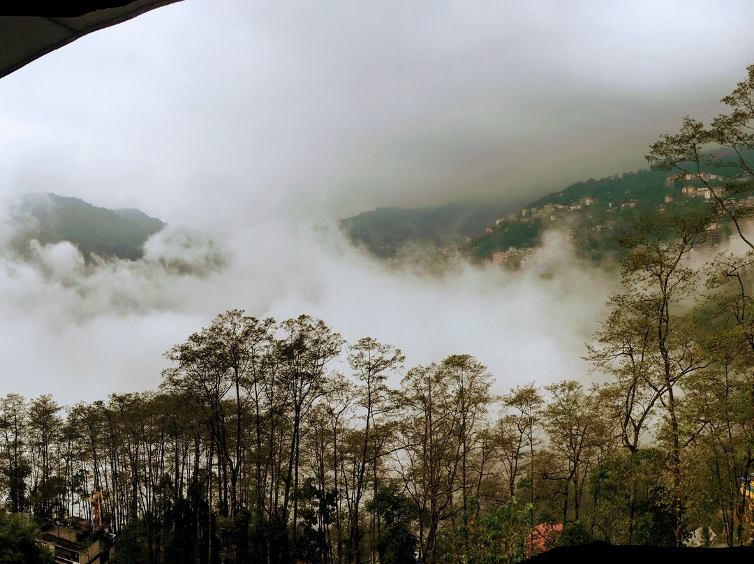 Lemon Tree Hotel, Gangtok主图