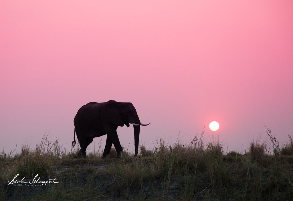 Photo Club Zambezi-Katima Mulilo必去景点