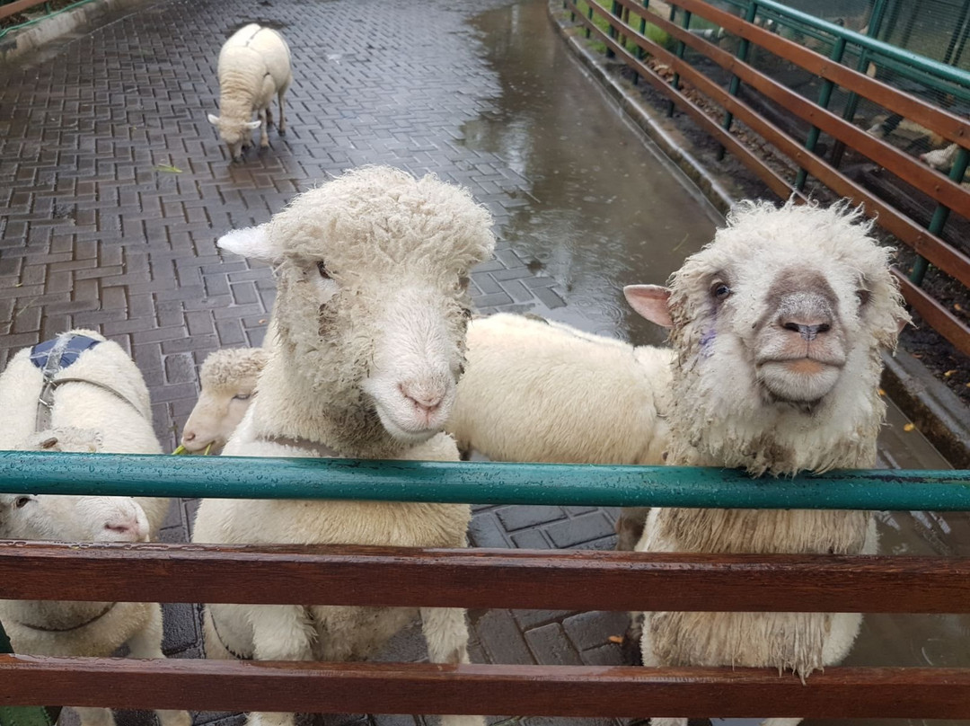 Mulia Car Rental & Tour-万隆必去景点