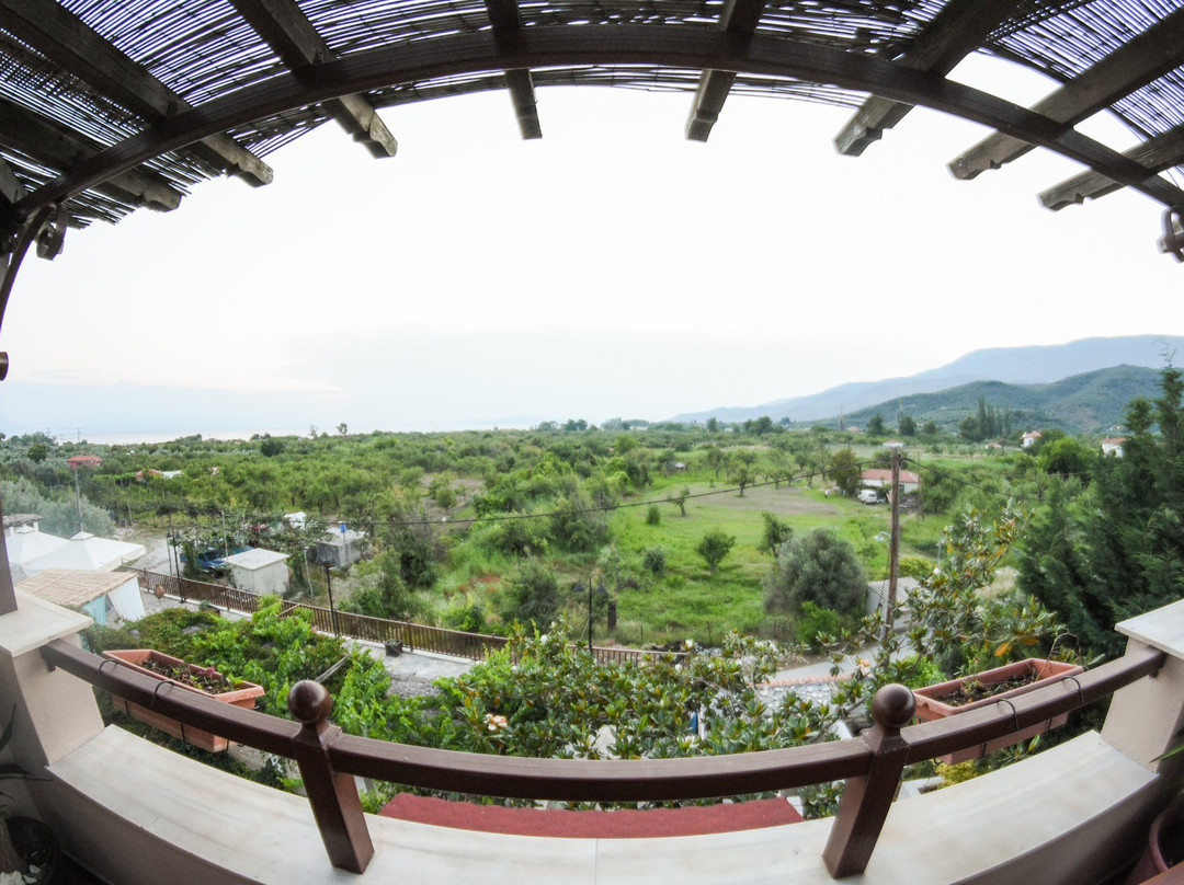 Seralis Pelion主图