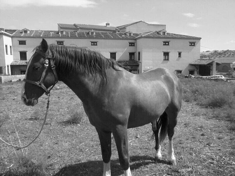 Casa Rural La Era主图