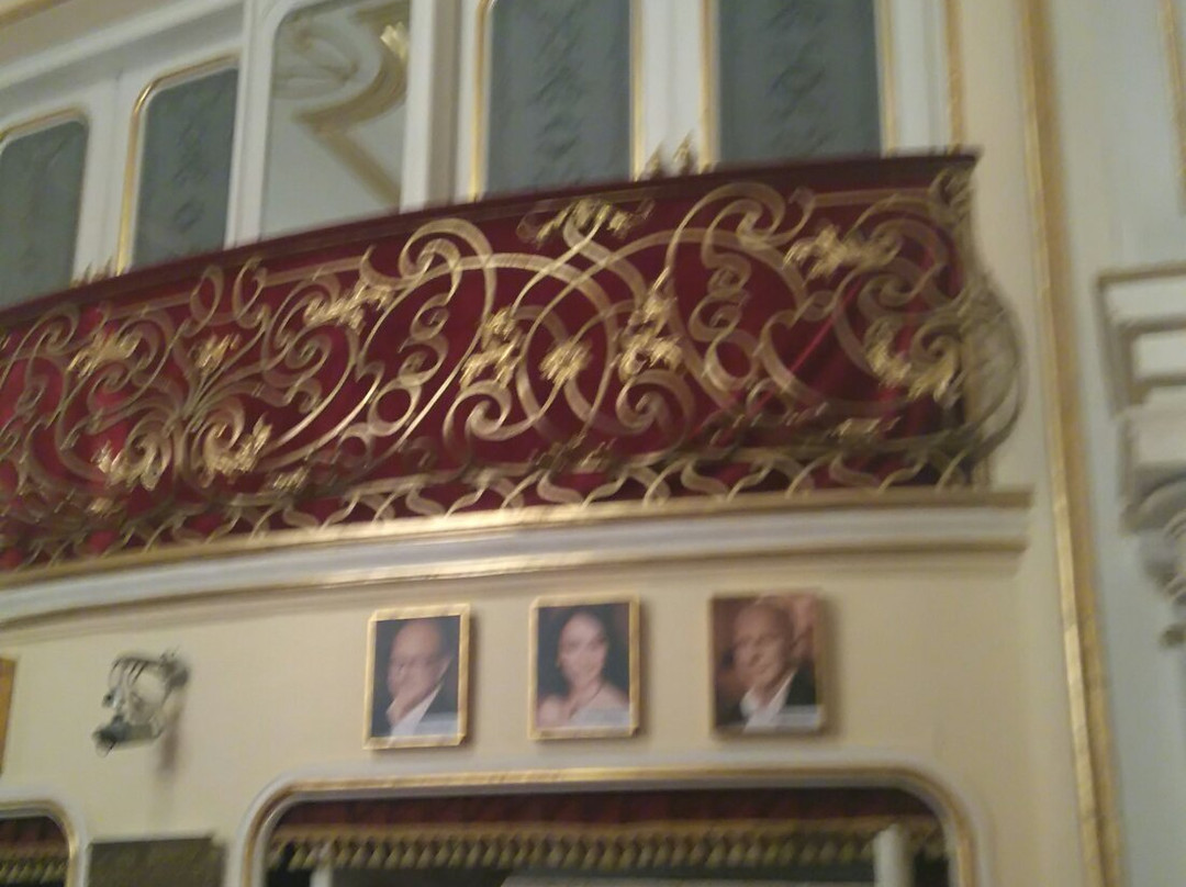 布达佩斯轻歌剧院景点图片