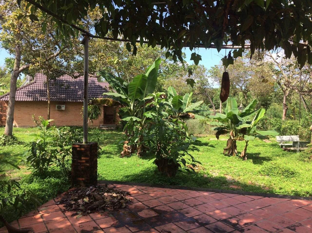 Quan Tom旅游攻略图片