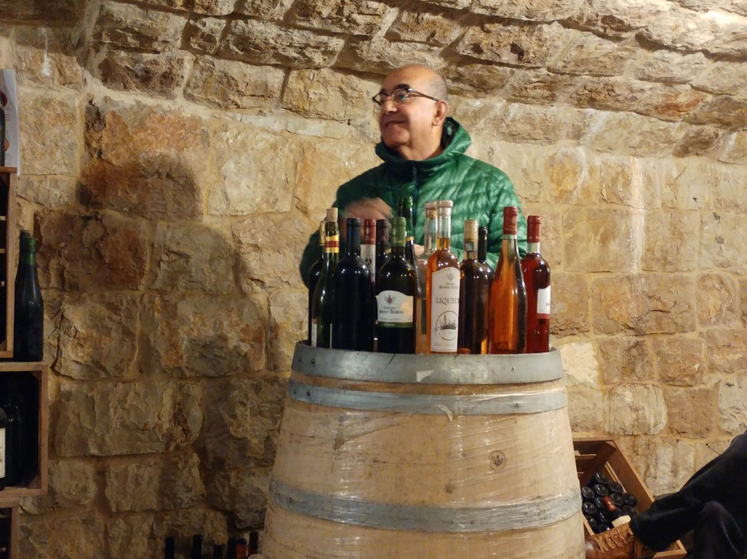 Chateau Sainte-Andree主图