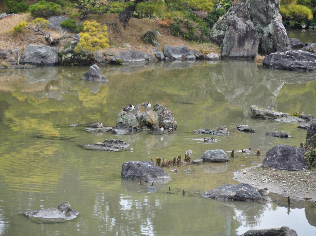 Shoto Garden-柳川市必去景点