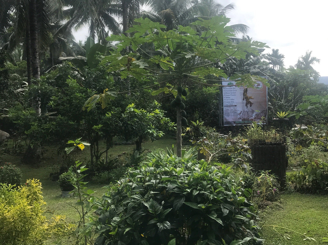 R.V Cacao Farm景点图片