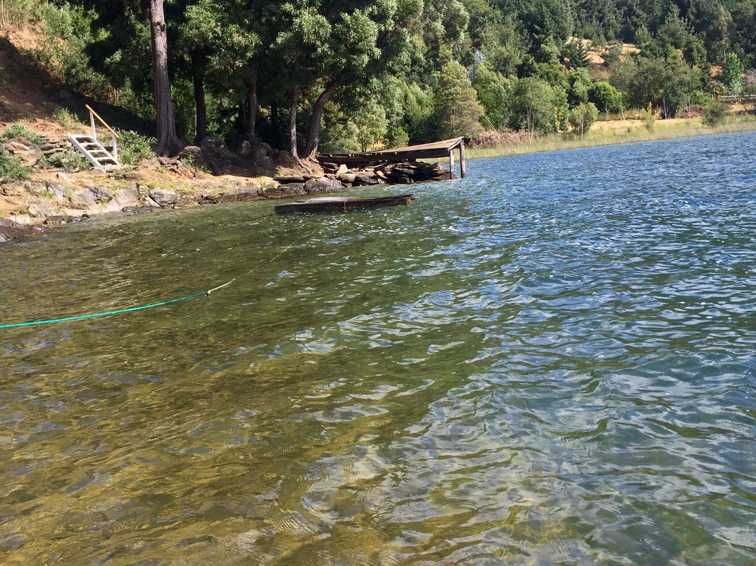 Lleulleu Lake-Contulmo必去景点