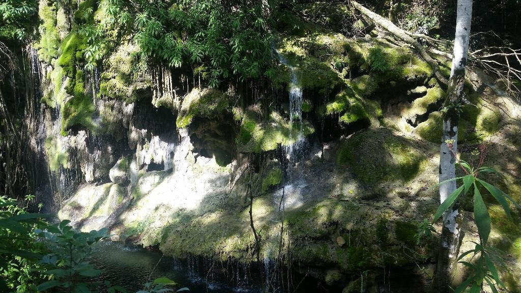 Parque Natural Rancho Querete景点图片