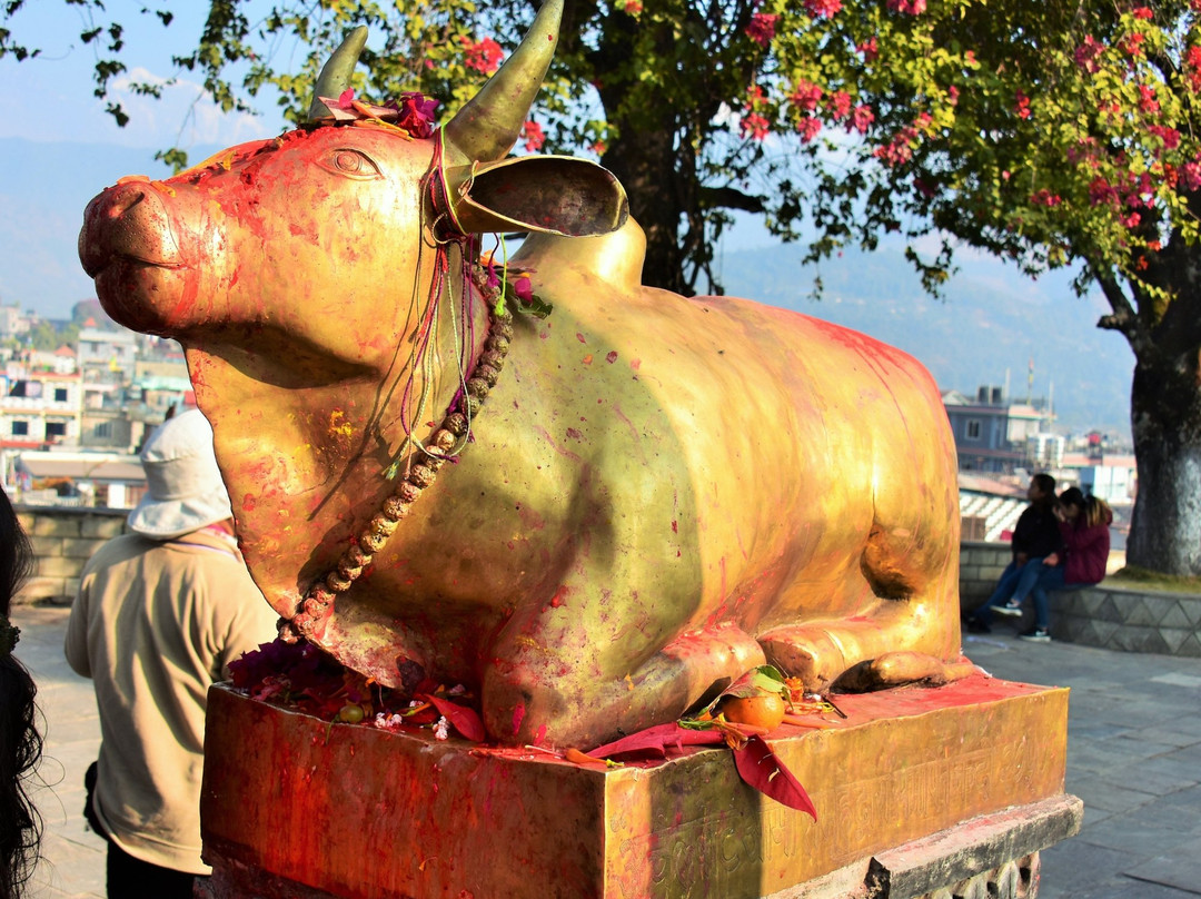 Bindhya Basini Temple景点图片