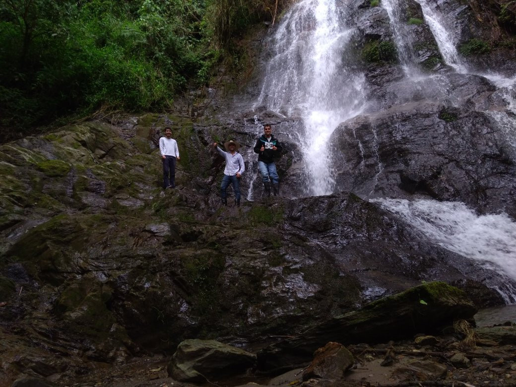 Cascadas De Cocora-萨伦托必去景点
