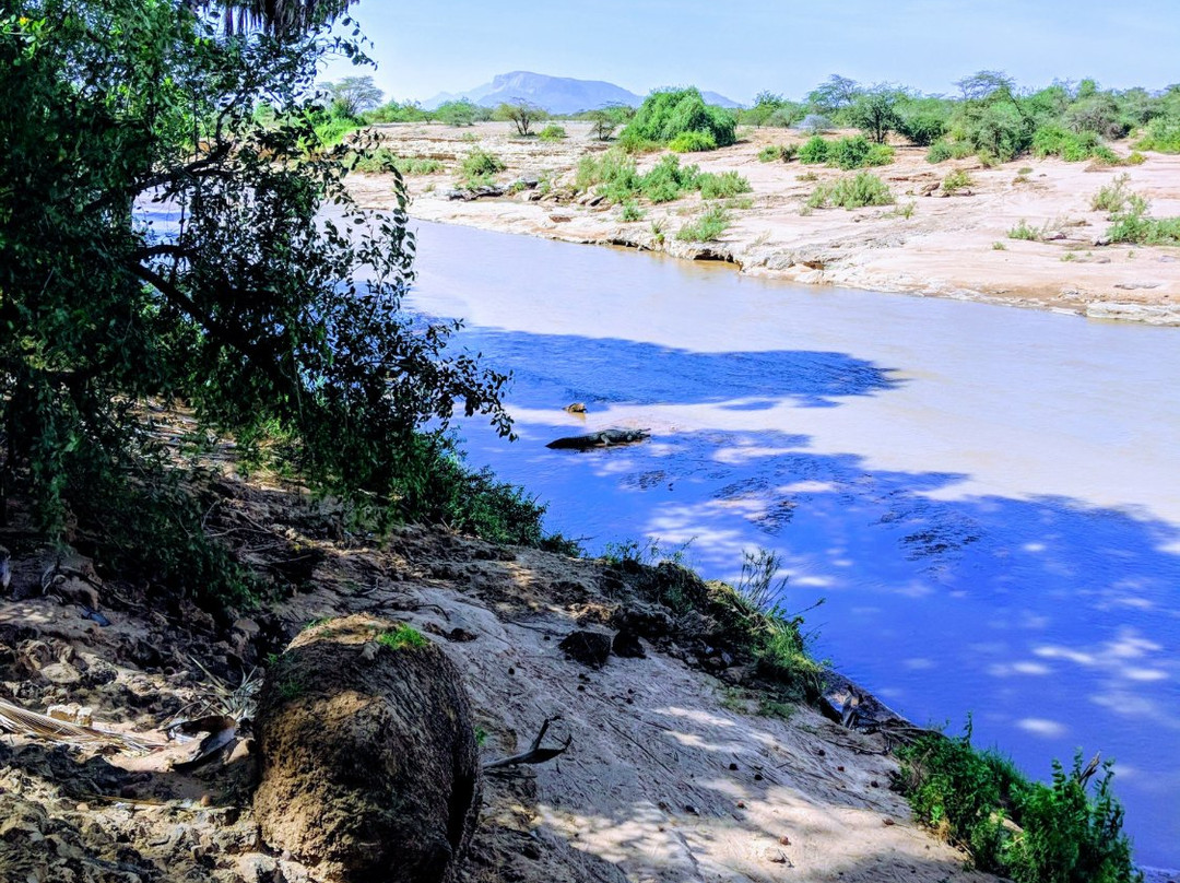 Sarova Shaba Game Lodge主图