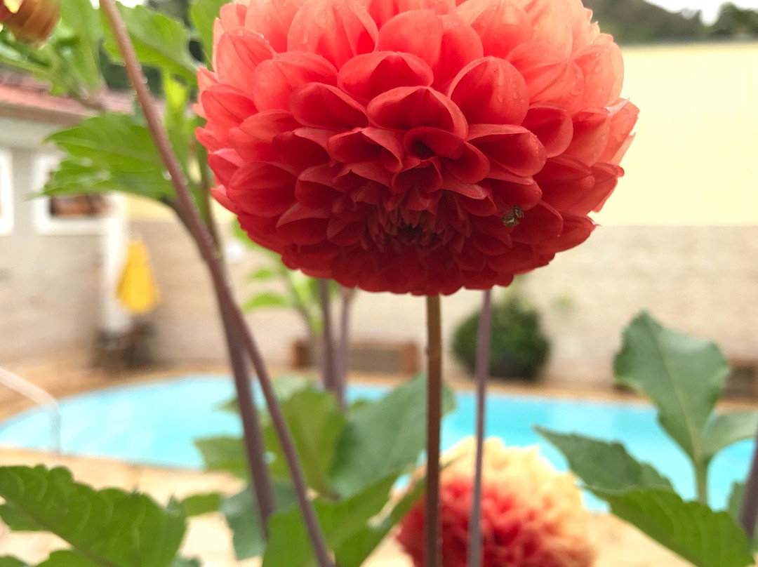 Pinhalzinho酒店住宿-Villa Cottage Pousada