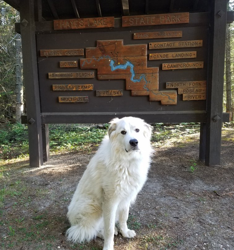 Hayes Lake State Park景点图片