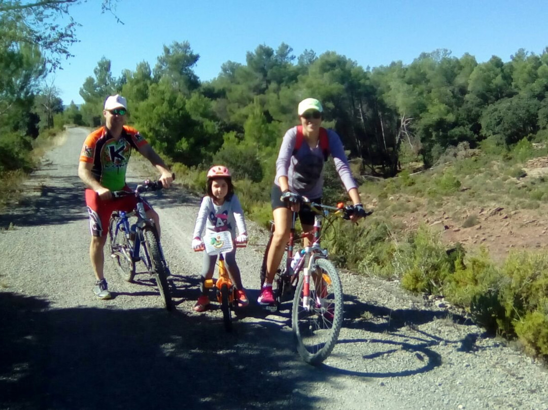 Love Cycling Tours-巴伦西亚必去景点