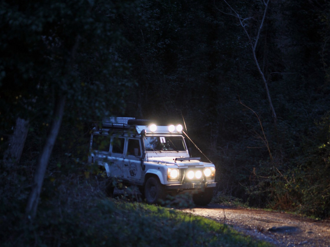 Off Road in Tuscany-格雷韦伊恩基亚恩蒂必去景点