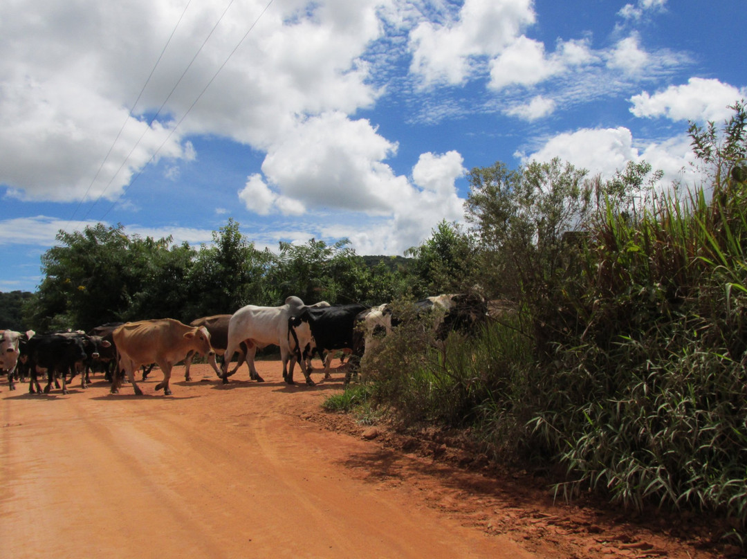 Cachoeira Ponte Alta