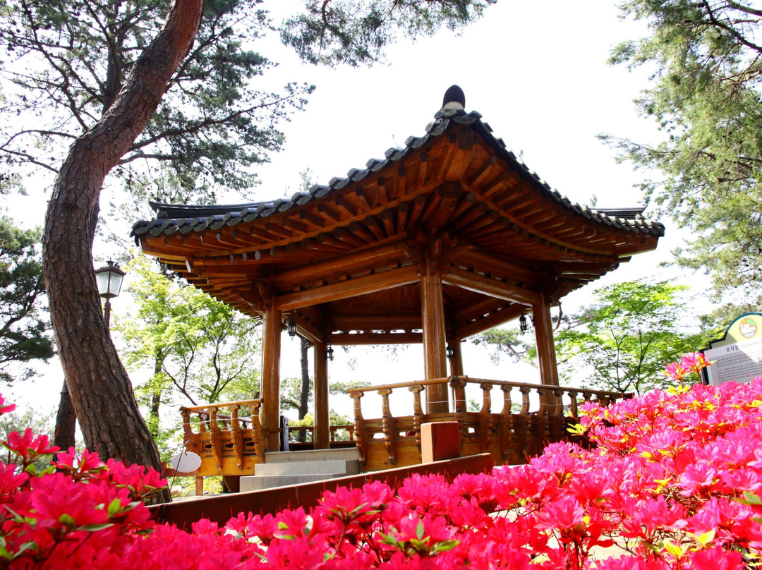 Chungbuk Provincial Office-清州市必去景点