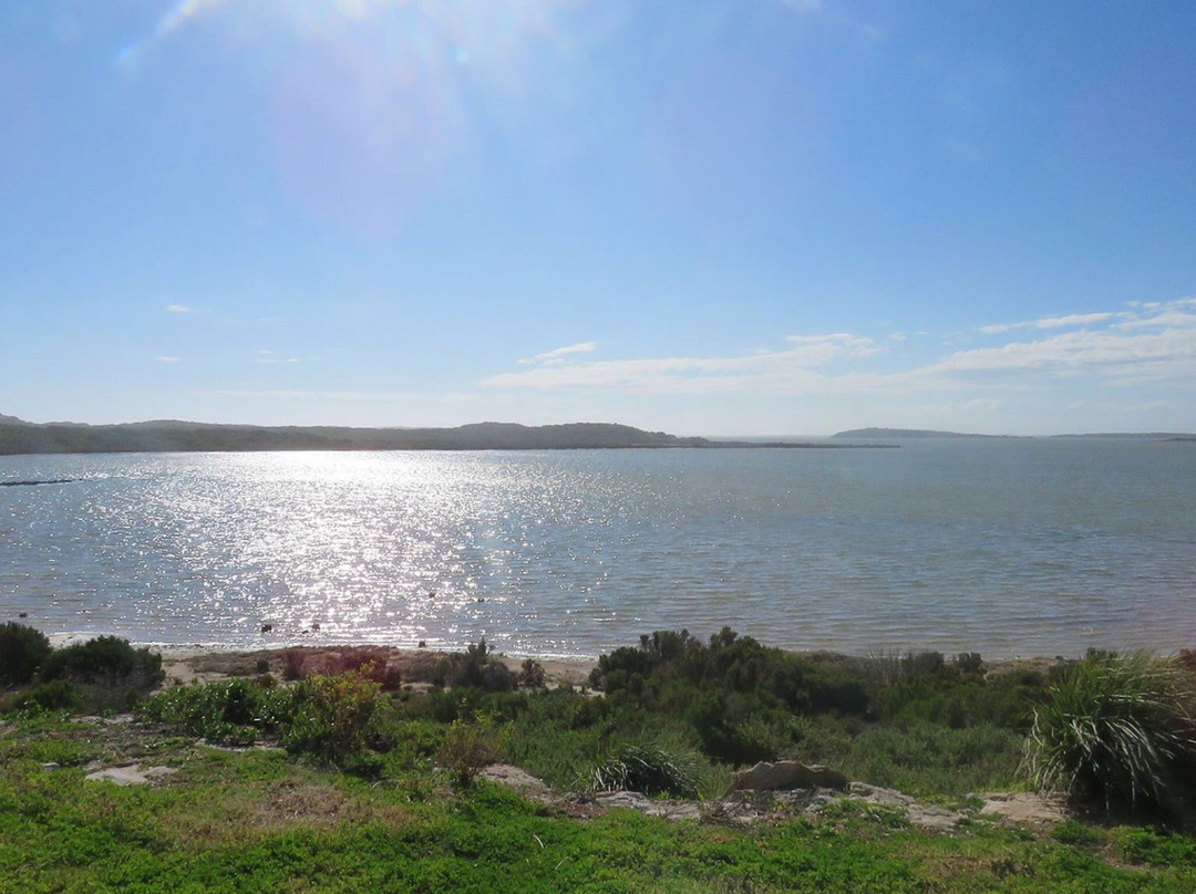 Adelaide International Bird Sanctuary景点图片