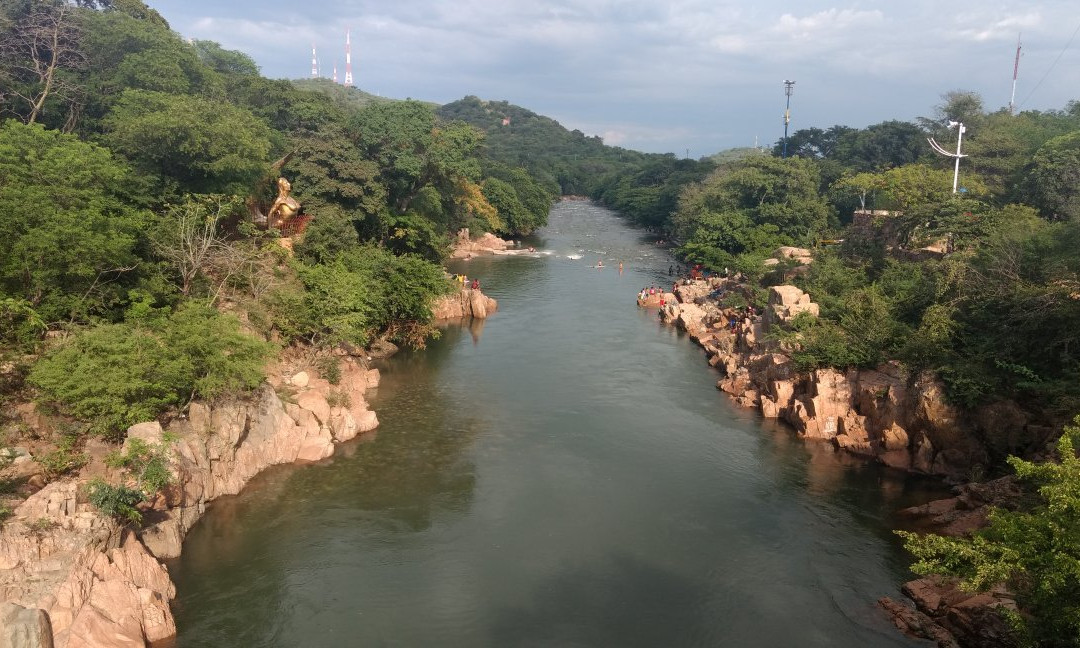 Cesar Department旅游攻略图片