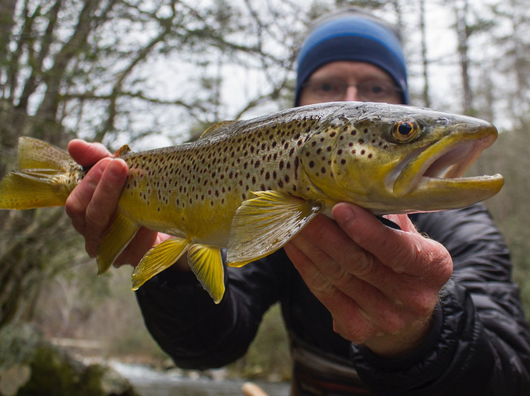 Trout Zone Anglers, LLC-Crossville必去景点