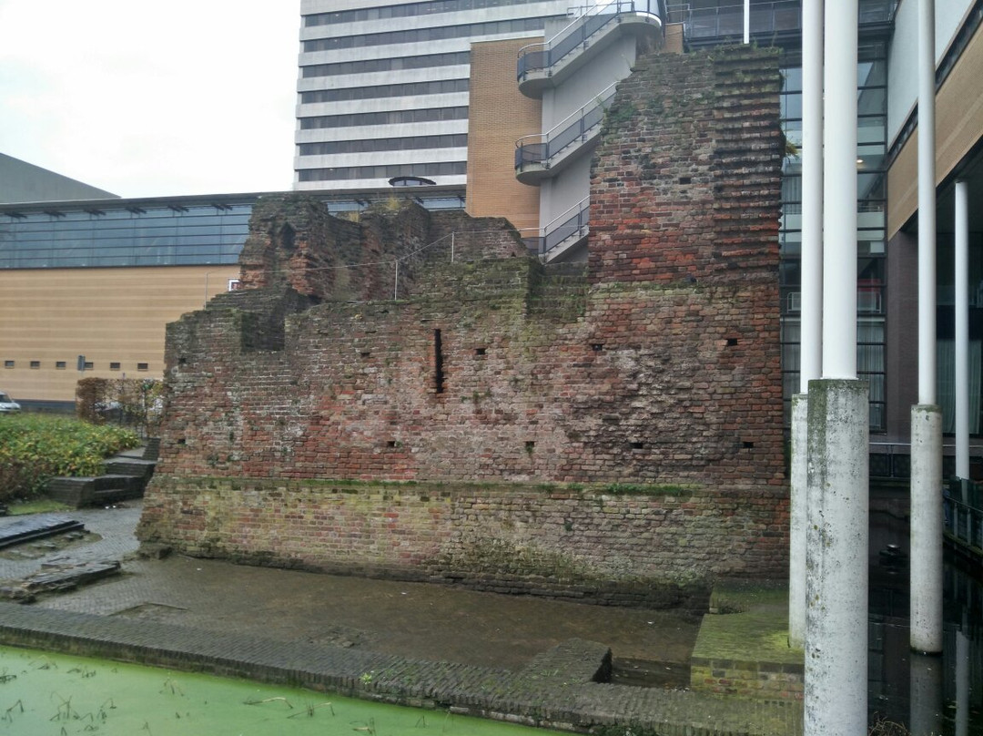 Ruïne Huis te Riviere景点图片