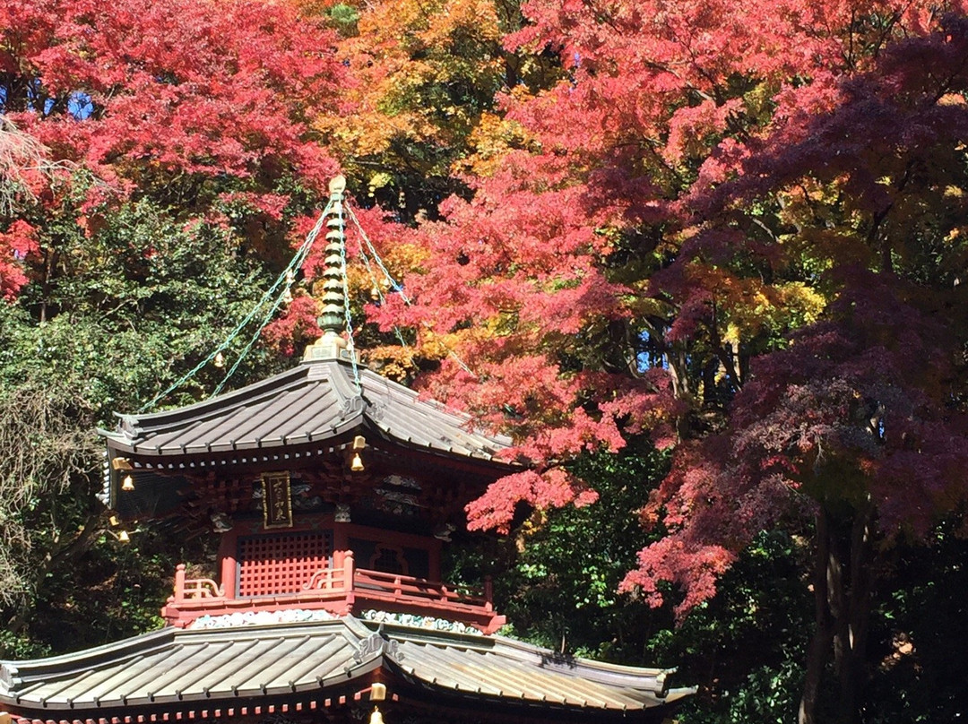 涩川市旅游攻略图片