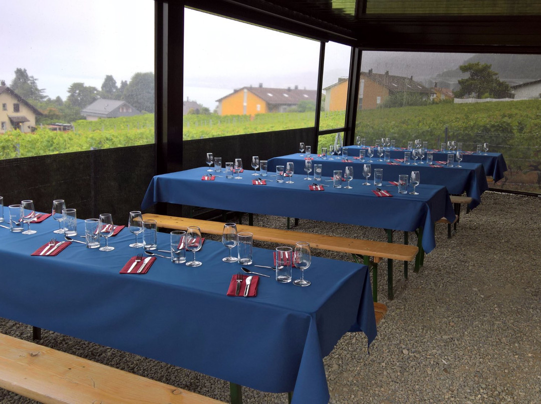 Domaine et Cave Christophe & Christine Bertholet景点图片