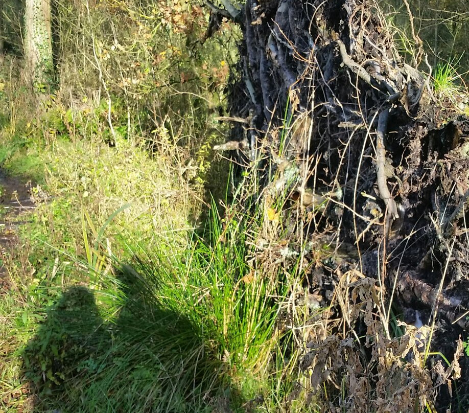 Wybunbury Tower-Nantwich必去景点