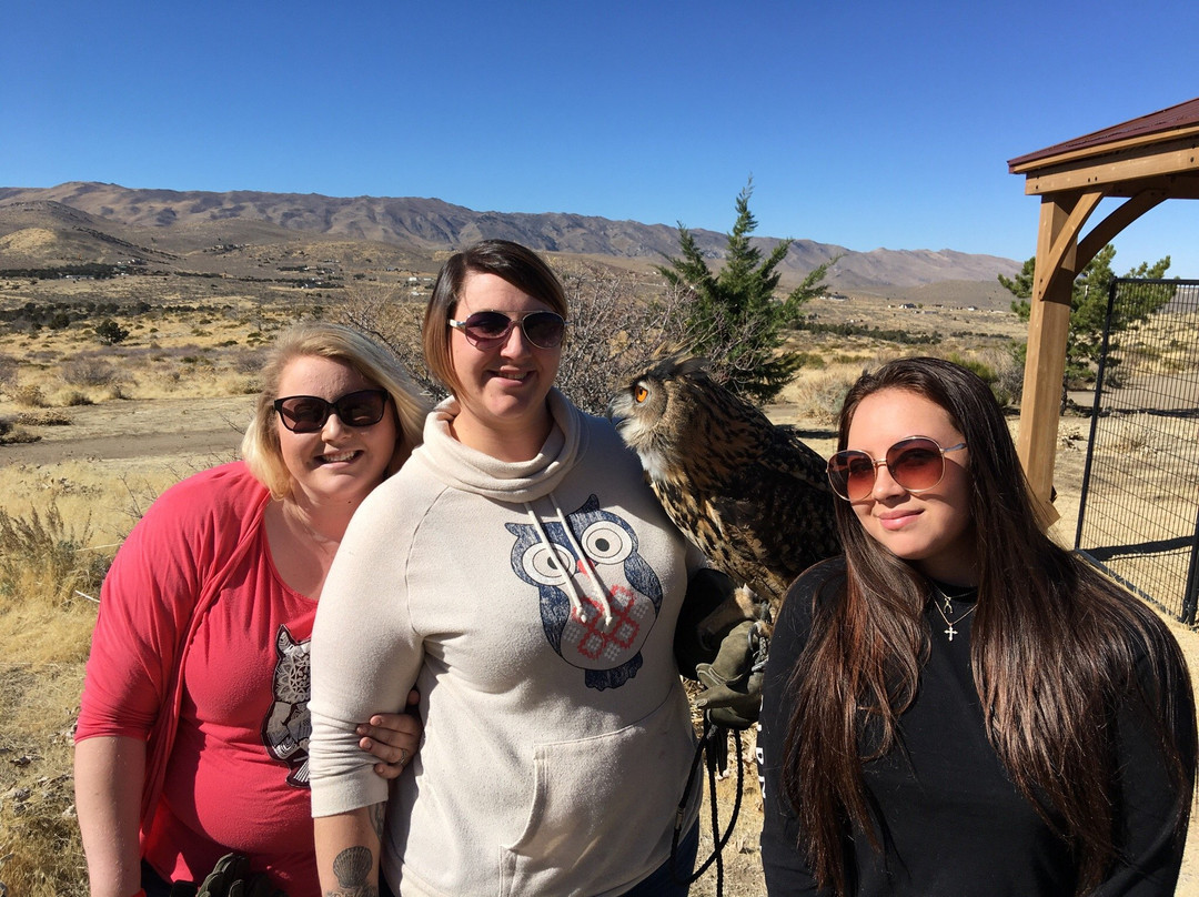 Raptor Adventures-里诺必去景点