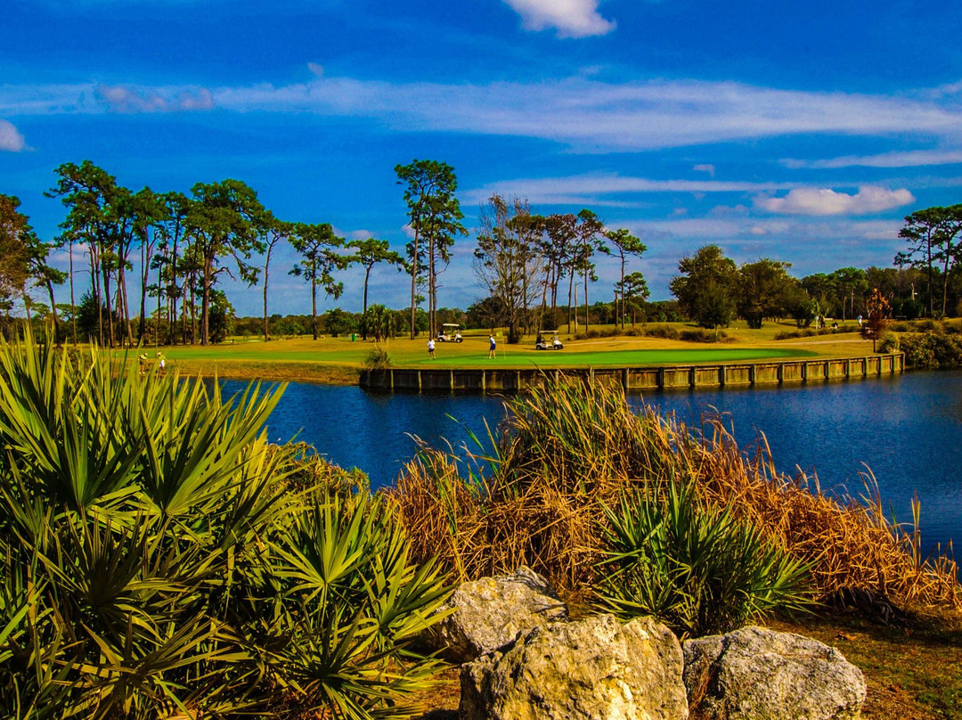 Rogers Park Golf Course-坦帕必去景点