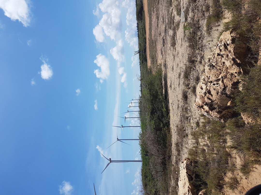 Vader Piet Wind Farm-Santa Cruz必去景点