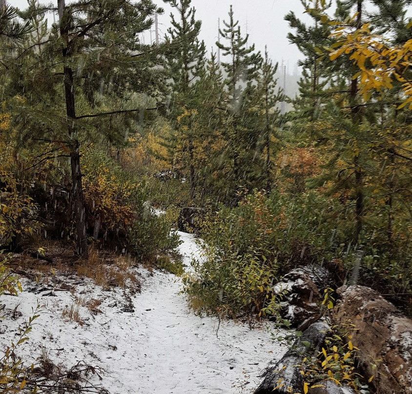 Malheur National Forest景点图片