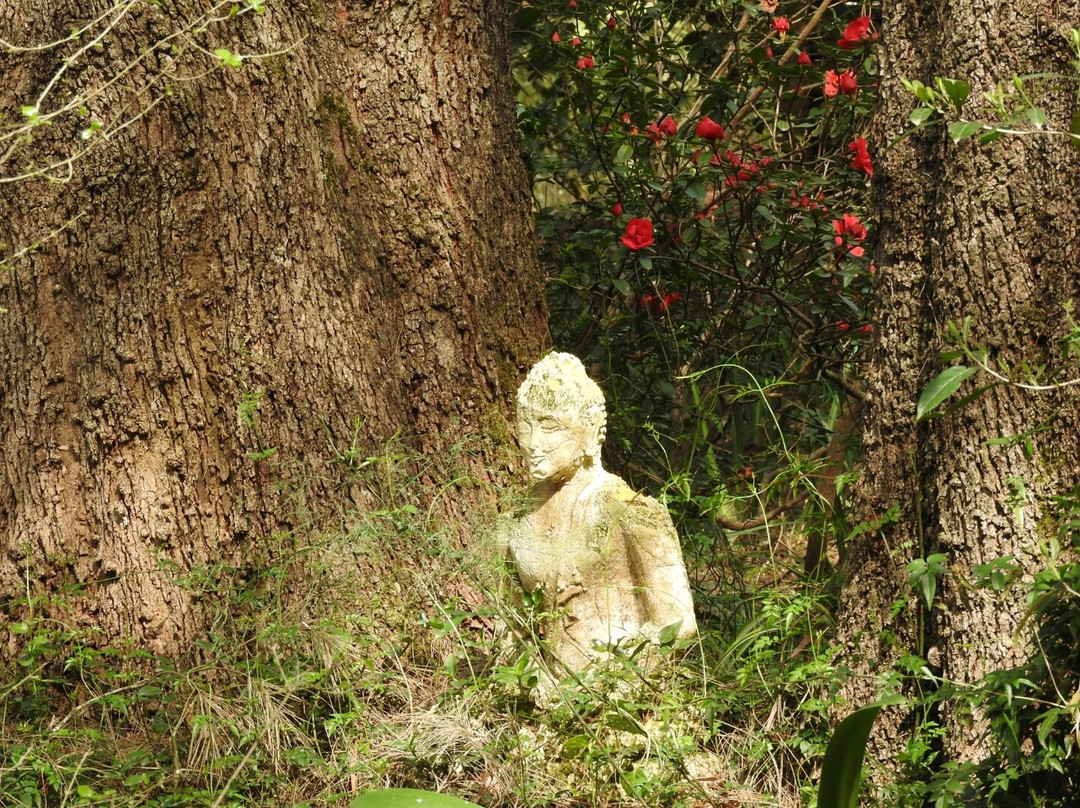 The Buddhist Retreat Centre景点图片