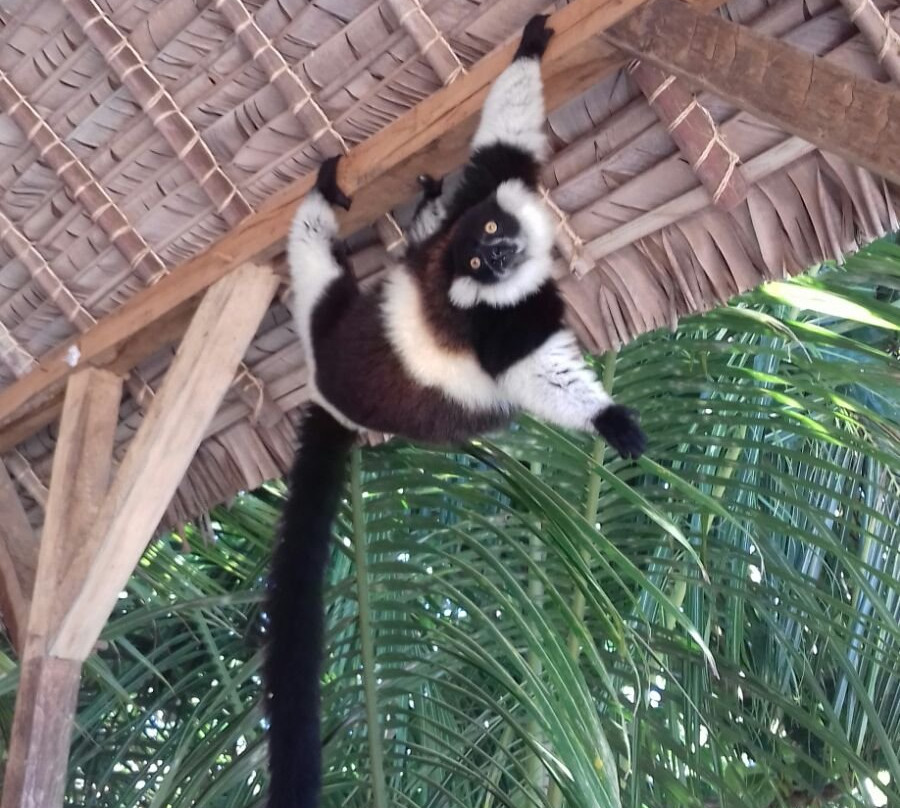 Meva Paradis主图