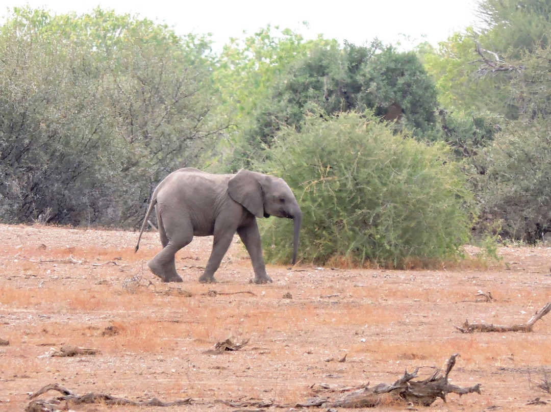 Cheno Travel & Safari Tour景点图片