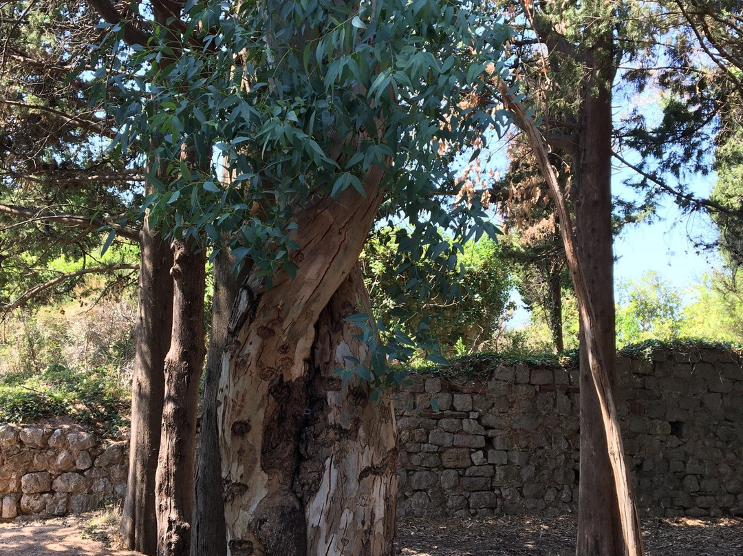 Ratac Abbey-Sutomore必去景点