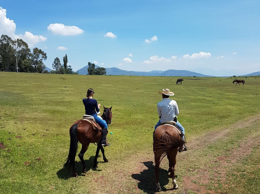 Rancho Las Cascadas Riding Tours-San Agustin Buenavista必去景点