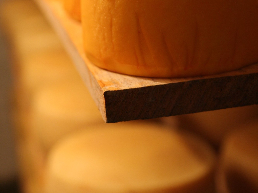 Queseria Neole-Tequisquiapan必去景点