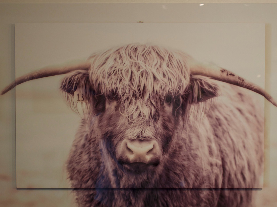 The Room At Home Gallery Western Art at Bradley's-High River必去景点