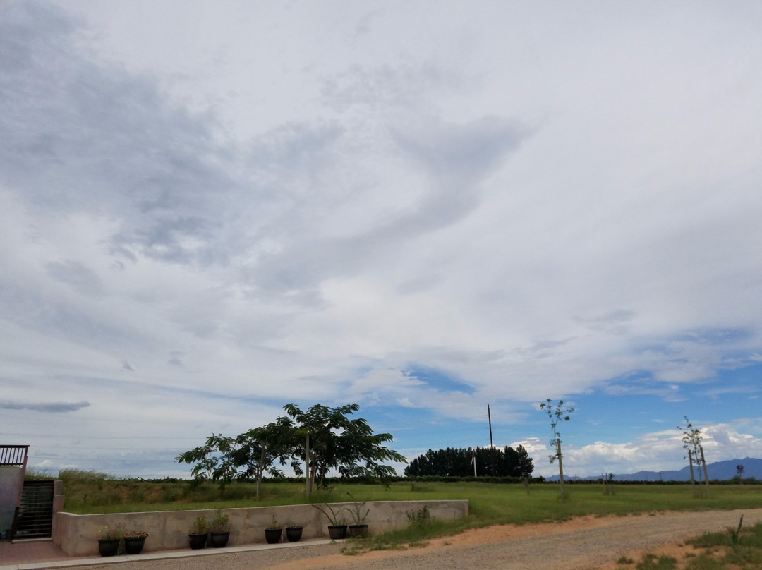 Golden Rule Vineyards-Cochise必去景点